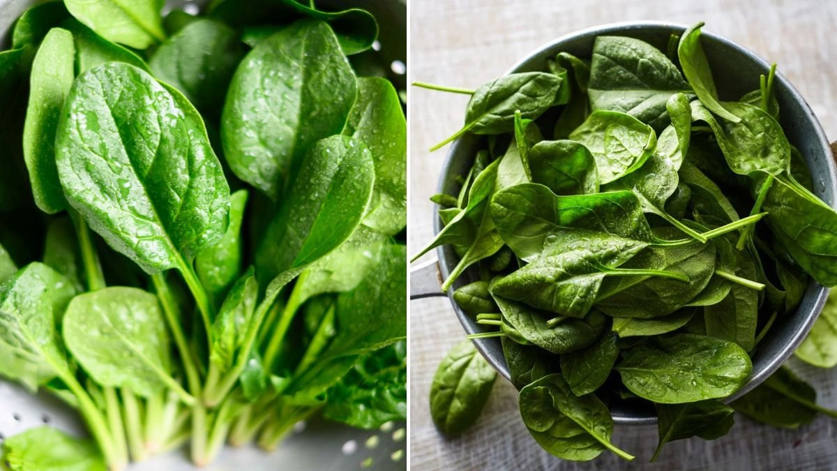 9 Antioxidant-Rich Foods That Aren’t Spinach [FOCUS KEYWORD]