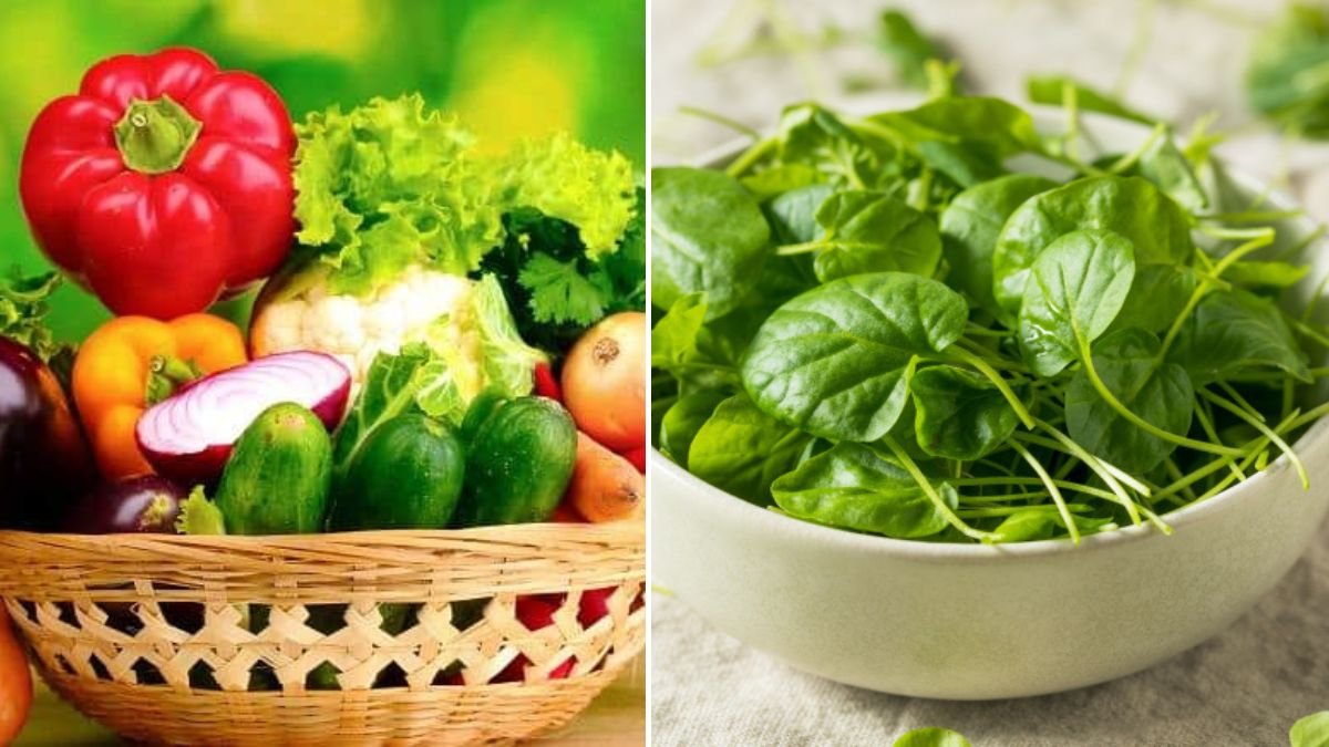 The 10 Most Nutrient-Dense Vegetables You’ve Probably Never Tried — Supercharge Your Health