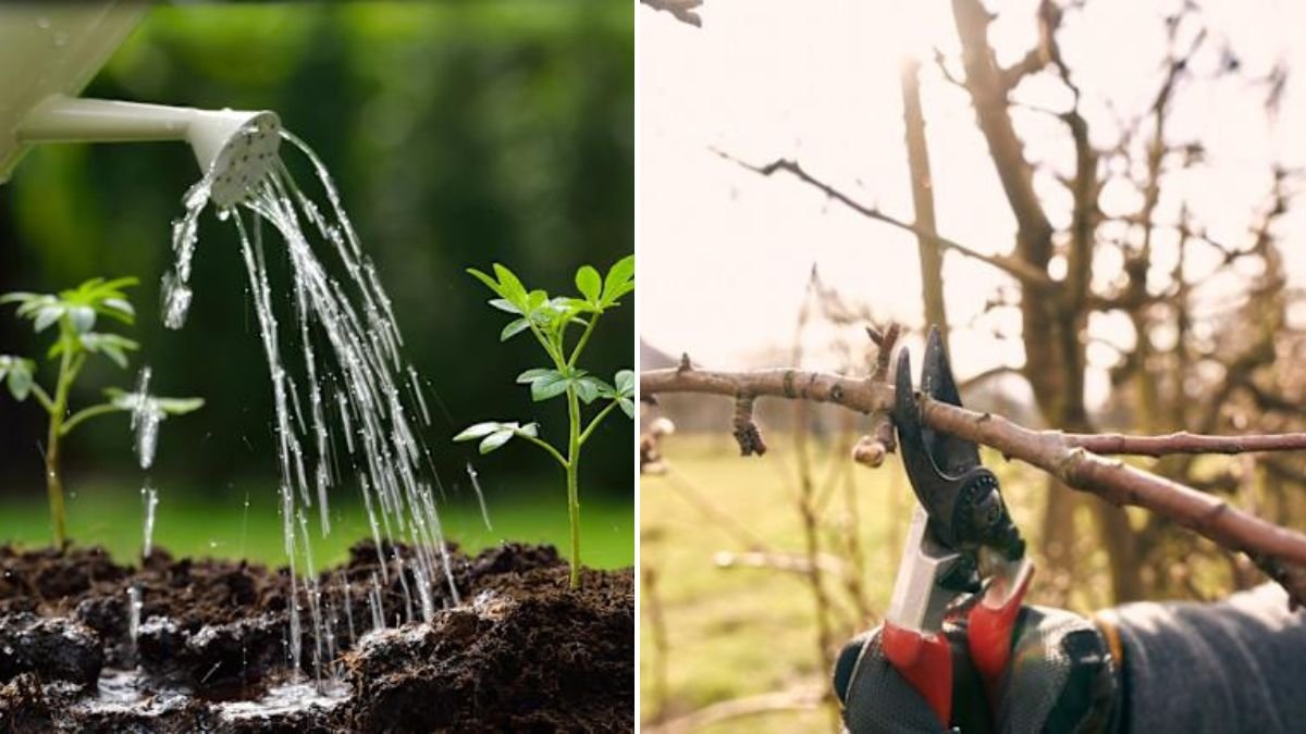 Think Your Garden Is Done for Winter? These 5 Chores Are Still Worth Doing