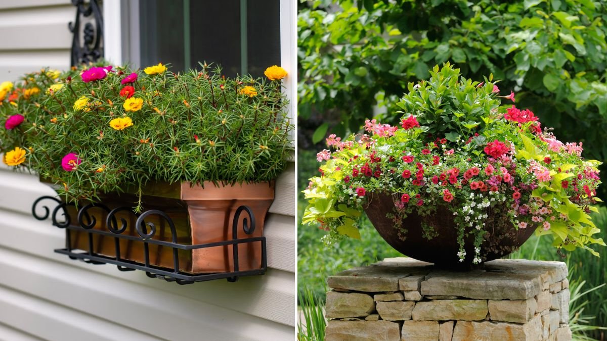 [FOCUS KEYWORD]: Container Gardening Made Pretty With 29 Tiny Flowers