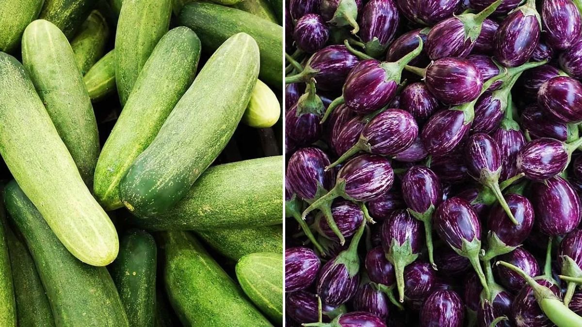 The Ultimate Summer Cooling Vegetable — My Family Never Gets Tired of It!