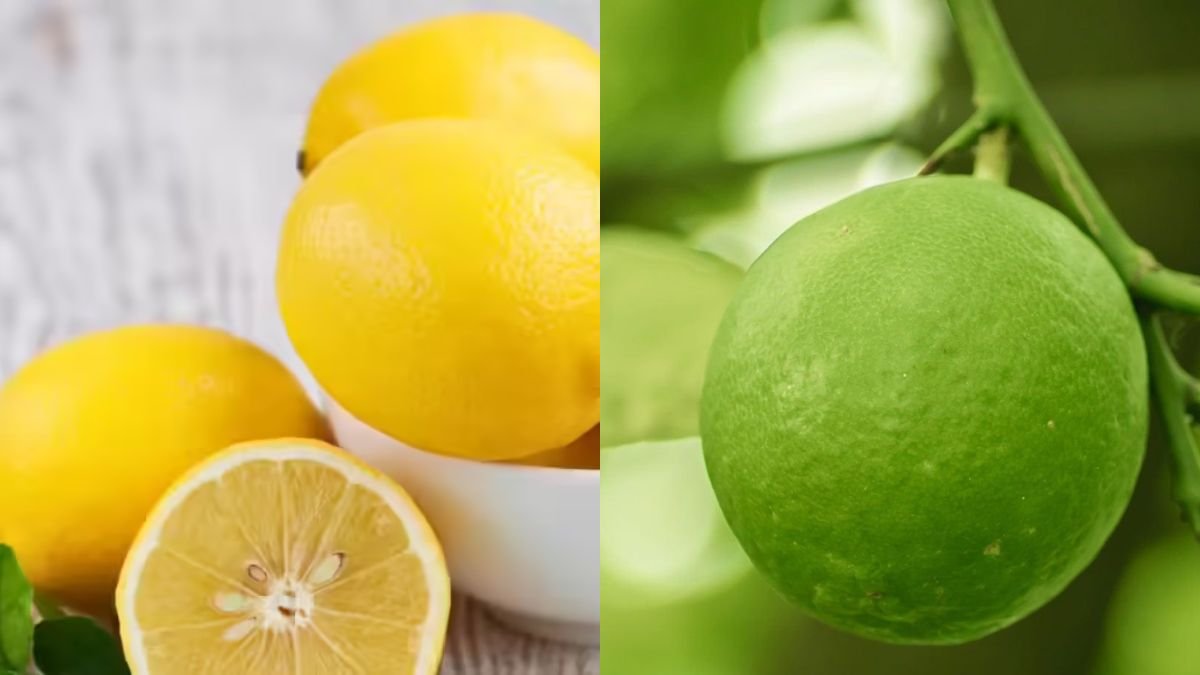 I Never Have to Buy Lemons Again — This Is How I Have Lemons to Eat All Year