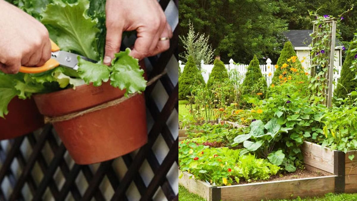 Amazing DIY Hanging Garden Ideas to Grow Vegetables at Home