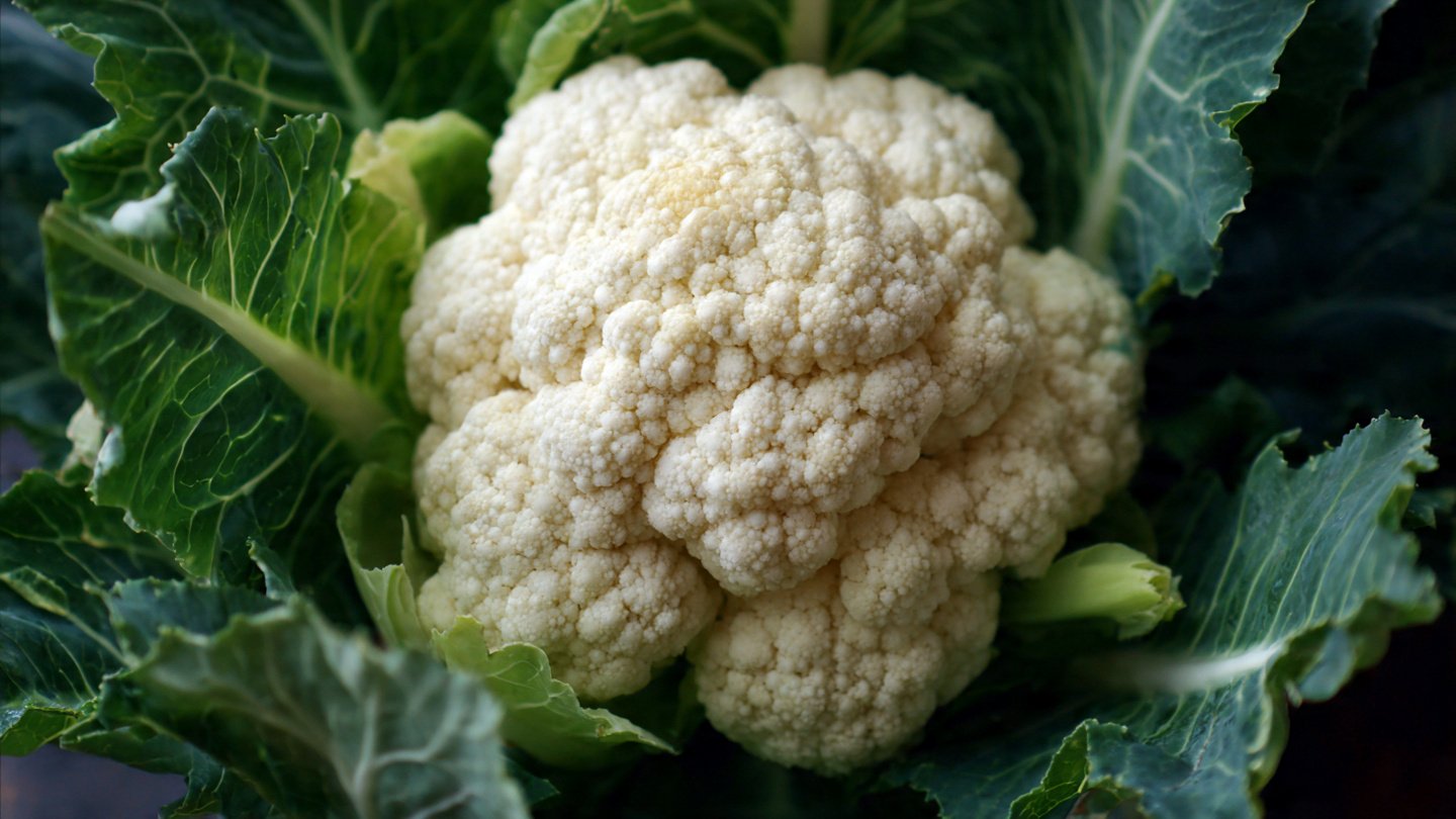 Can You Really Grow Cauliflower at Home for Delicious Veggie Rice?