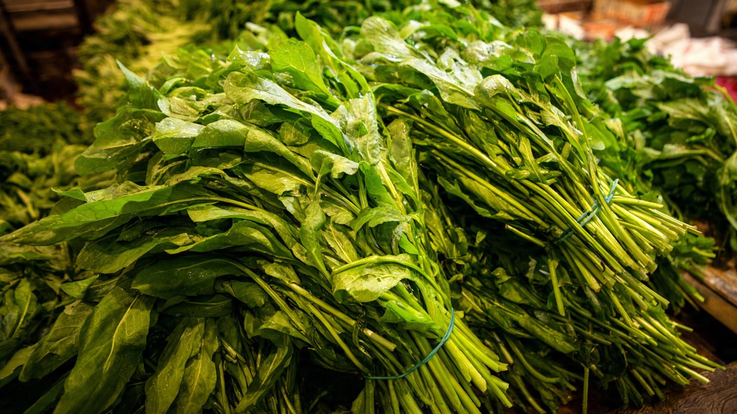 What is the Secret to Growing Huge Bunches of Dandelion Greens?
